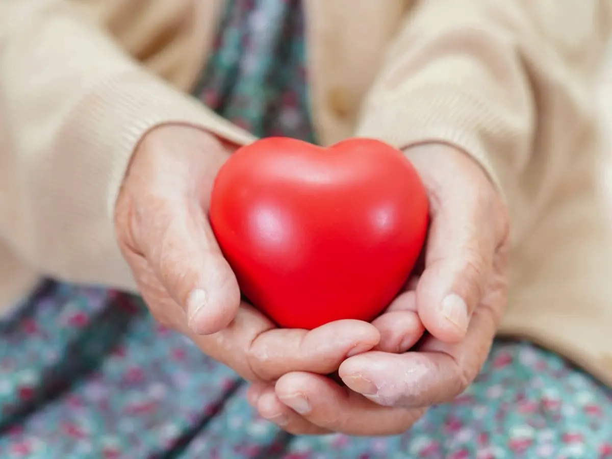 Un coeur en plastique tenu par des mains âgées
