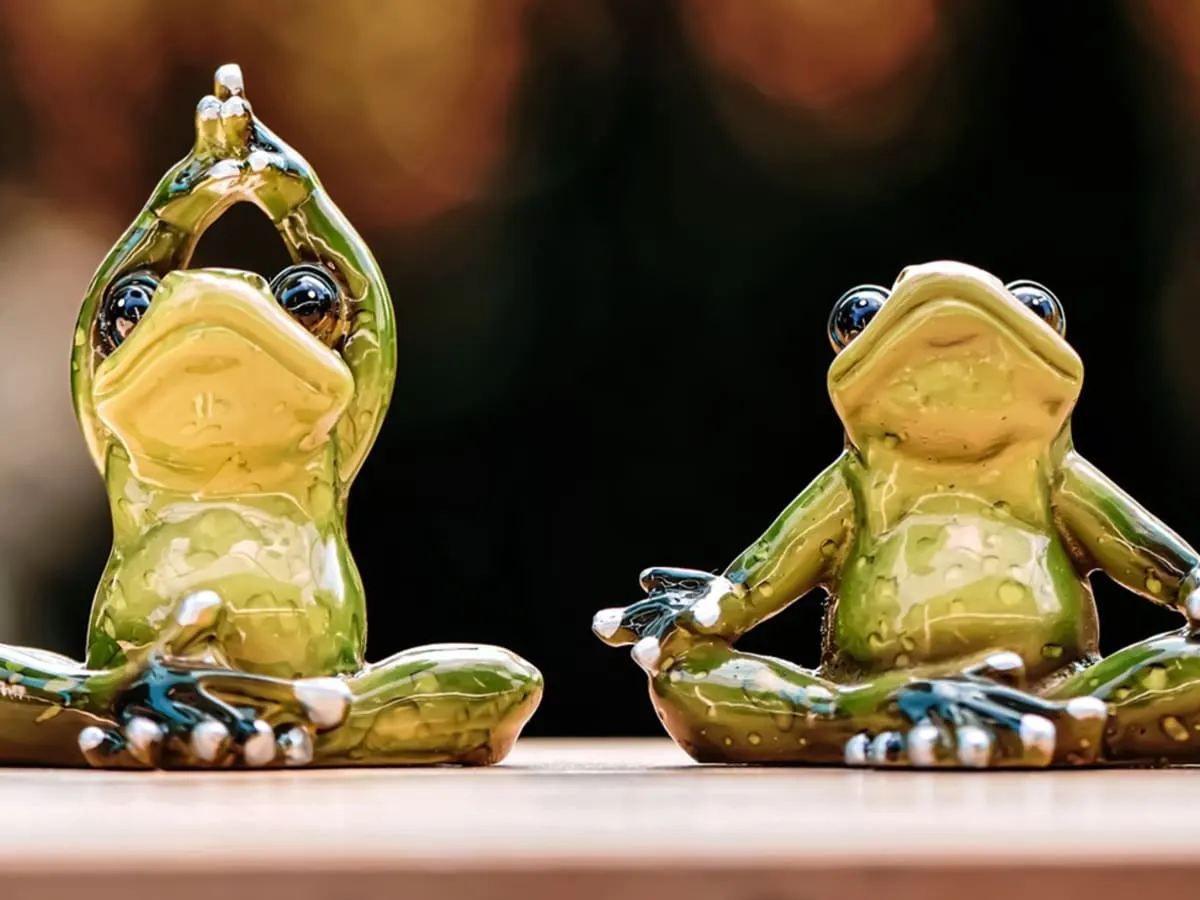 Image de deux grenouilles réalisant des postures de yoga